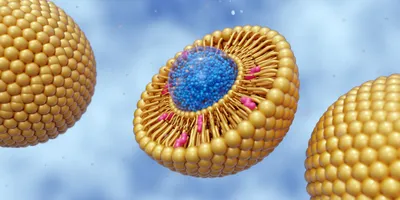 3D rendering of lipid molecules in a cellular membrane