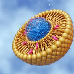 3D rendering of lipid molecules in a cellular membrane