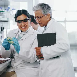 Lab personnel engaged in scientific discussion and management.