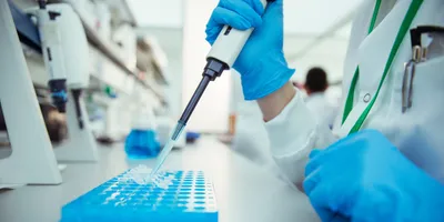 Scientist pipetting samples into tray in laboratory