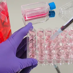 scientist pipetting cell culture serum