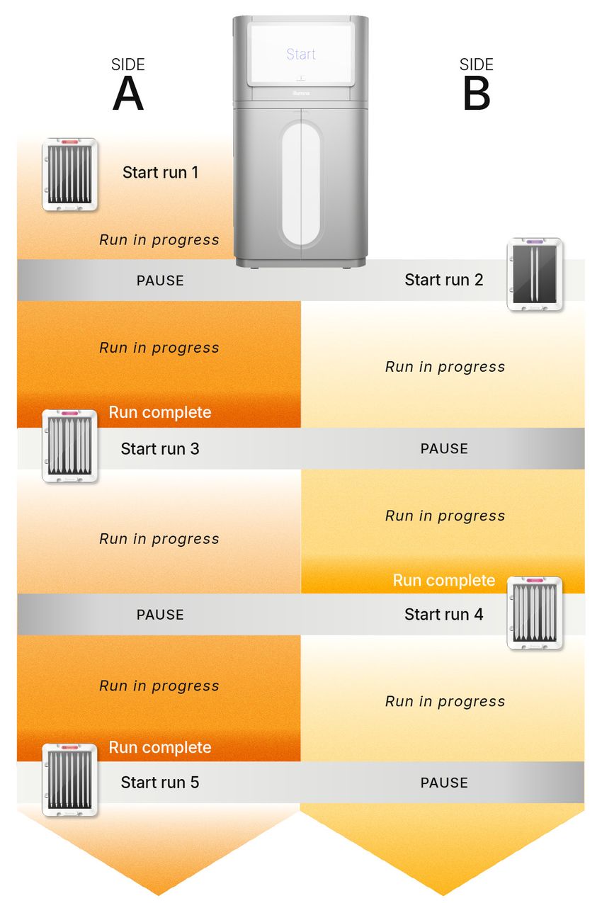 Figure 1. The NovaSeq X Plus System enables continuous staggered starts, turning sequencing capacity into a rolling, on-demand pipeline instead of discrete full-run blocks Figure 1. The NovaSeq X Plus System enables continuous staggered starts, turning sequencing capacity into a rolling, on-demand pipeline instead of discrete full-run blocks