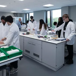 Large group of researchers working at stations in a modern lab.
