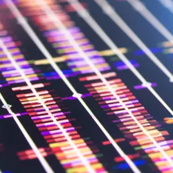 Close-up of DNA sequencing data displayed as aligned genomic reads on a computer screen.