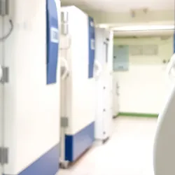 A view of rows of refrigerators for lab research.