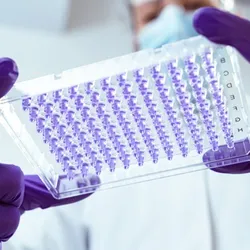 A lab technician wearing purple gloves holds up an Azenta custom PCR plate containing purple liquid, demonstrating clear well visibility for molecular diagnostics.