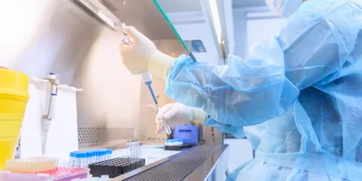 Lab technician using pipette in a biosafety cabinet