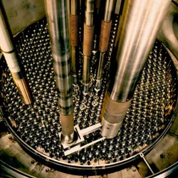 Interior of a nuclear reactor showing fuel rods for analysis