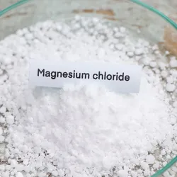 Magnesium chloride displayed on a dish, relevant for magnesium recovery process.