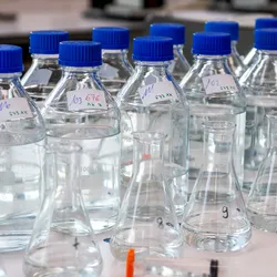Laboratory equipment laboratory storage bottles with blue polypropylene cap on white