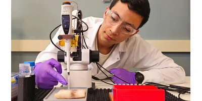 Researcher in white lab coat and purple gloves positions an STEi probe above a tilapia fillet for LC-MS sample preparation testing at Purdue's Bindley Bioscience Center.