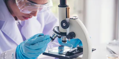 Early-career laboratory talent using a microscope for analysis