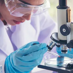 Early-career laboratory talent using a microscope for analysis