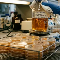 Molten agar on a stirrer hotplate beside a stack of sterile Petri dishes and a rack of freshly poured plates cooling on a microbiology bench
