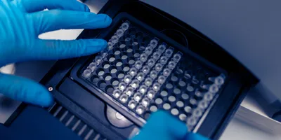 scientist putting test 96 well plate into real-time PCR machine