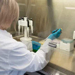Lab worker pipetting in fume hood