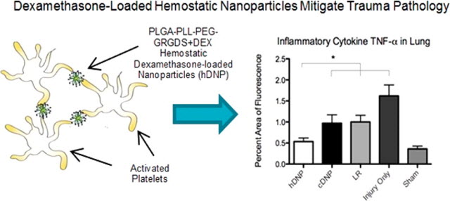 nanoparticle treatment diagram