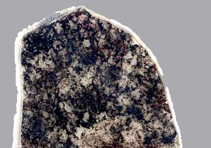 fossil-bearing rock