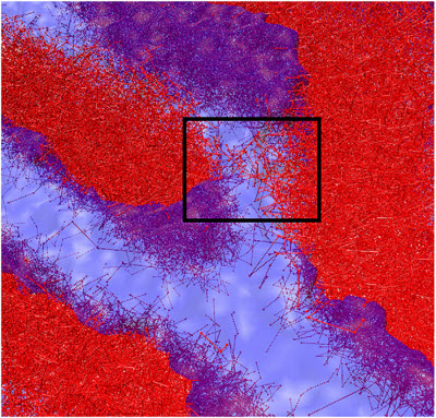predicting the path molecules must follow to find defect-free states