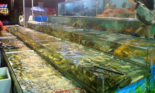 seafood tanks