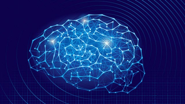 brain networks