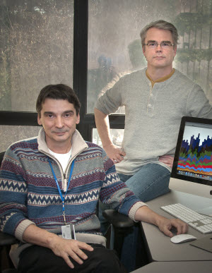 Brookhaven physicists