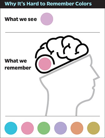 color perception