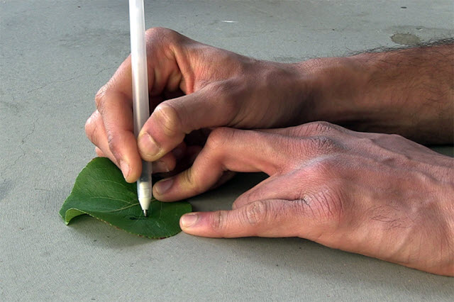 drawing sensors