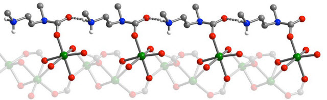 ammonium carbamate chain portion