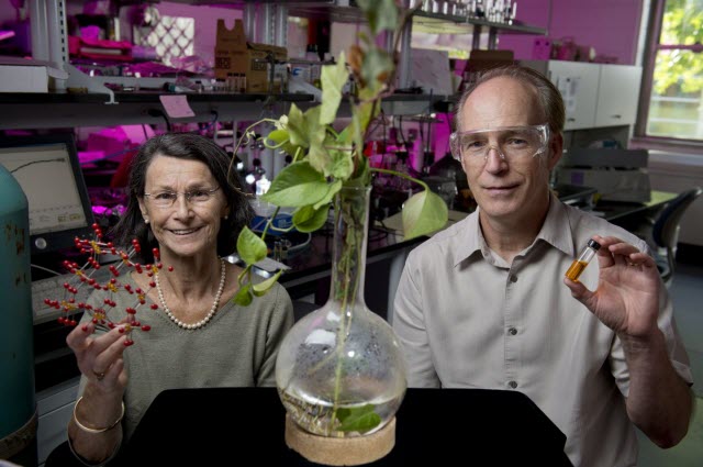 Martha Greenblatt and Charles Dismukes