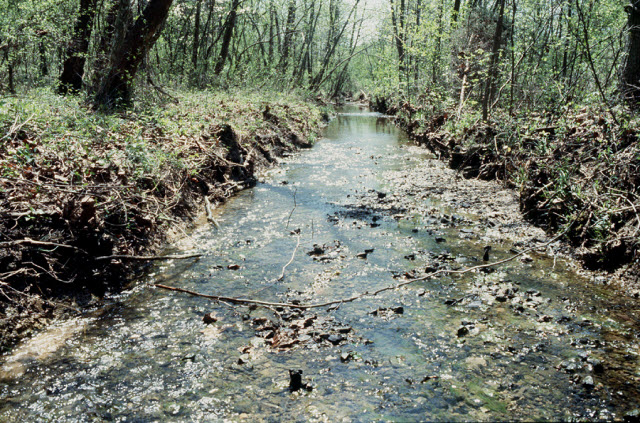 Bear Creek watershed