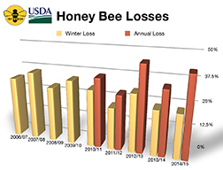bee graph