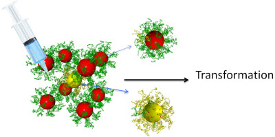 Injecting different kinds of reprogramming DNA strands 