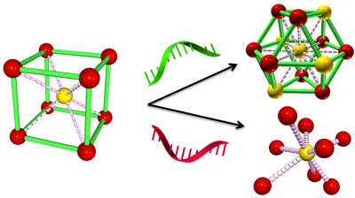 reprogramming strands