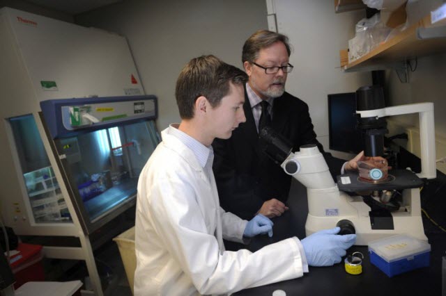 The power of global research opportunities