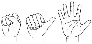 Illustration of a clenched or buttressed fist, an open fist and an open hand