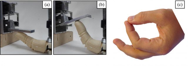 Bio-inspired robotic finger looks, feels and works like the real thing