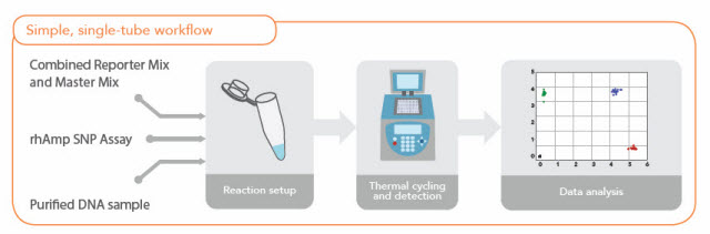  rhAmp™ SNP Genotyping System